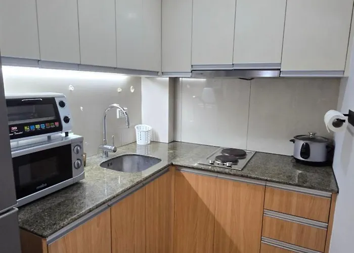 Modern Executive With Pool And Access Apartment